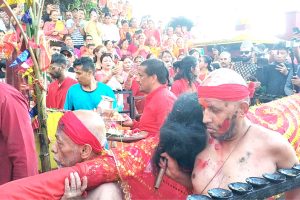 दन्तकालीमा भित्र्याइयो फूलपाती